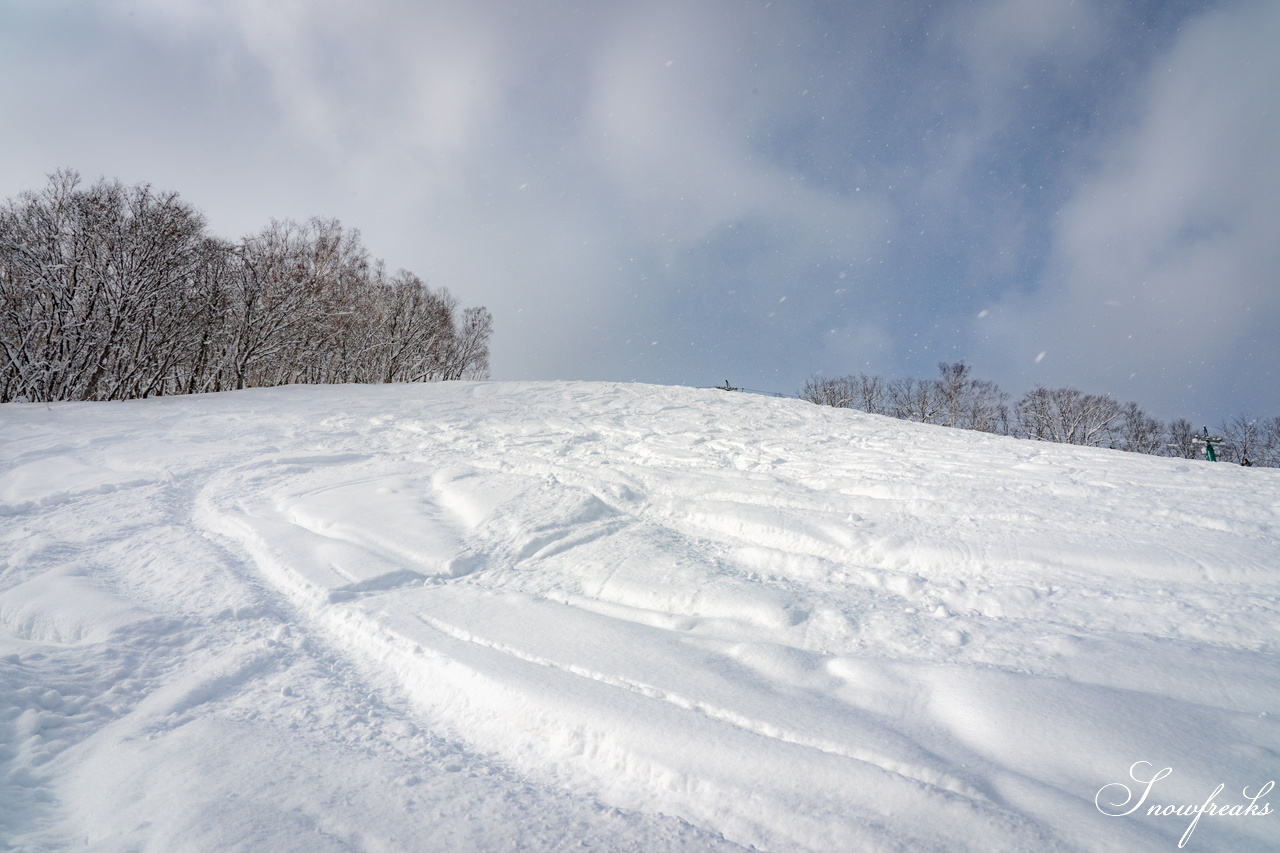 片岡嵩弥 - Takaya Kataoka - Powder Photo Session 2026 in ASARI